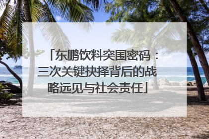 东鹏饮料突围密码：三次关键抉择背后的战略远见与社会责任
