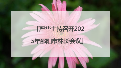 严华主持召开2025年邵阳市林长会议