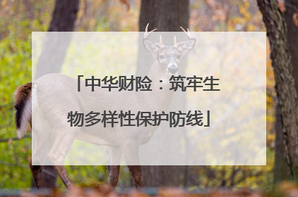 中华财险：筑牢生物多样性保护防线