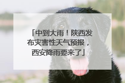 中到大雨！陕西发布灾害性天气预报，西安降雨要来了