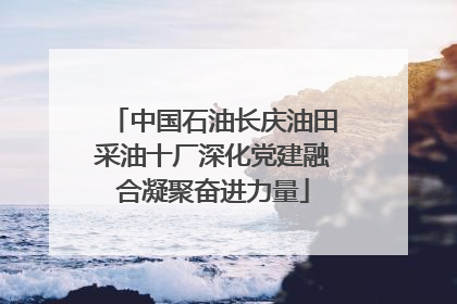 中国石油长庆油田采油十厂深化党建融合凝聚奋进力量