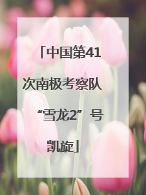 中国第41次南极考察队“雪龙2”号凯旋