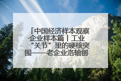 中国经济样本观察·企业样本篇丨工业“关节”里的硬核突围——老企业洛轴创新蝶变启示录