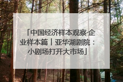 中国经济样本观察·企业样本篇︱亚华湖剧院：小剧场打开大市场