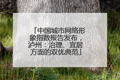 中国城市网络形象指数报告发布，泸州：治理、宜居方面的双优典范