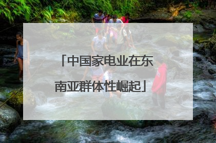 中国家电业在东南亚群体性崛起