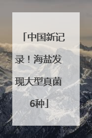 中国新记录！海盐发现大型真菌6种