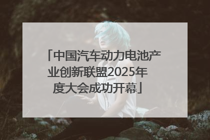 中国汽车动力电池产业创新联盟2025年度大会成功开幕