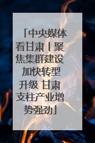 中央媒体看甘肃丨聚焦集群建设 加快转型升级 甘肃支柱产业增势强劲