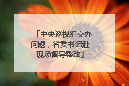 中央巡视组交办问题，省委书记赴现场督导整改