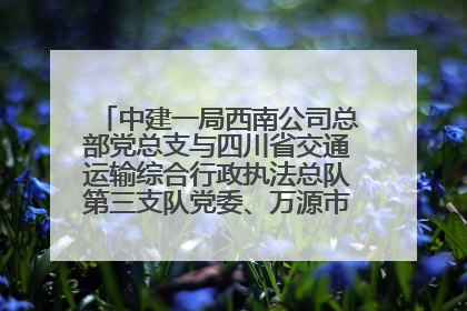 中建一局西南公司总部党总支与四川省交通运输综合行政执法总队第三支队党委、万源市草坝镇莲花院村党支部开展党建联建