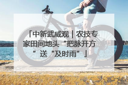 中新武威观｜农技专家田间地头“把脉开方”送“及时雨”