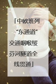 中欧班列“东通道”交通咽喉绥芬河隧道全线贯通