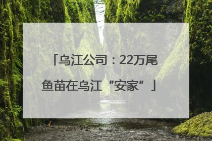乌江公司：22万尾鱼苗在乌江“安家”