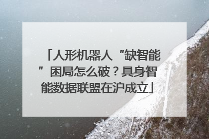 人形机器人“缺智能”困局怎么破？具身智能数据联盟在沪成立