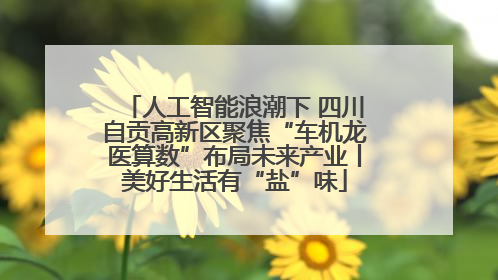 人工智能浪潮下 四川自贡高新区聚焦“车机龙医算数”布局未来产业丨美好生活有“盐”味