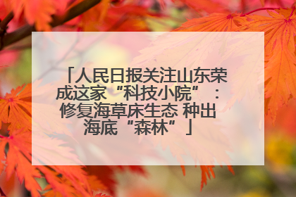 人民日报关注山东荣成这家“科技小院”：修复海草床生态 种出海底“森林”