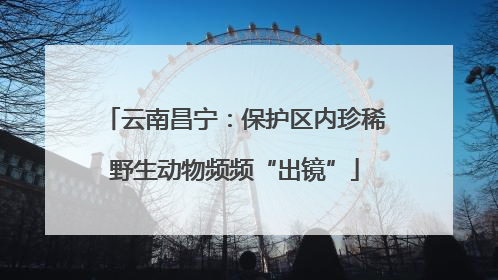 云南昌宁：保护区内珍稀野生动物频频“出镜”