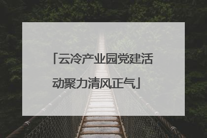 云冷产业园党建活动聚力清风正气