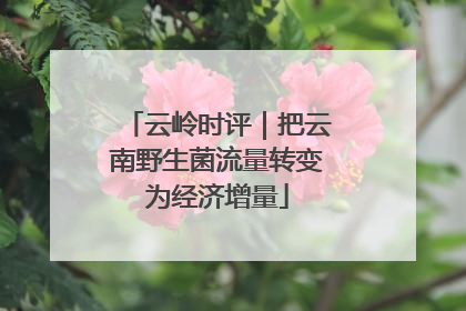 云岭时评｜把云南野生菌流量转变为经济增量
