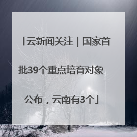 云新闻关注｜国家首批39个重点培育对象公布，云南有3个