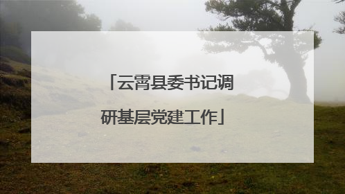 云霄县委书记调研基层党建工作