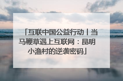 互联中国公益行动丨当马鞭草遇上互联网：昆明小渔村的逆袭密码
