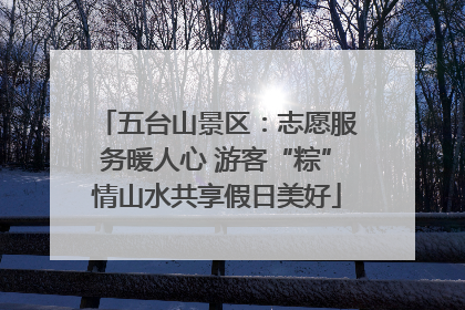 五台山景区：志愿服务暖人心 游客“粽”情山水共享假日美好