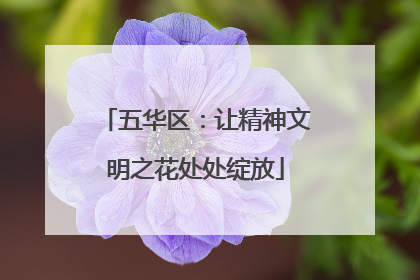 五华区：让精神文明之花处处绽放