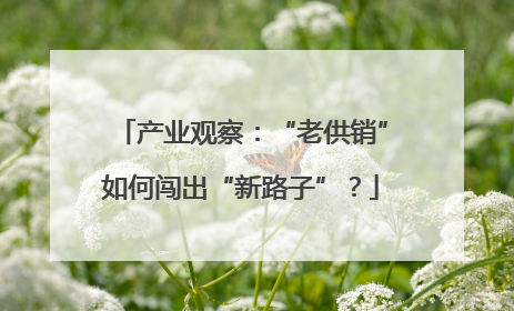 产业观察：“老供销”如何闯出“新路子”？