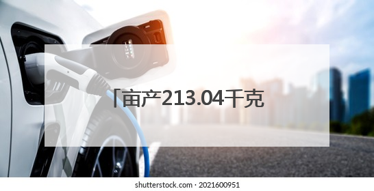亩产213.04千克！醴陵油菜单产创新高