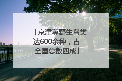 京津冀野生鸟类达600余种，占全国总数四成