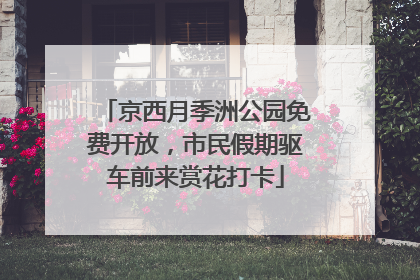 京西月季洲公园免费开放，市民假期驱车前来赏花打卡