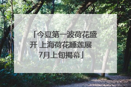 今夏第一波荷花盛开 上海荷花睡莲展7月上旬揭幕