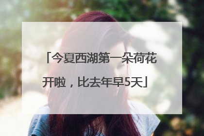 今夏西湖第一朵荷花开啦，比去年早5天