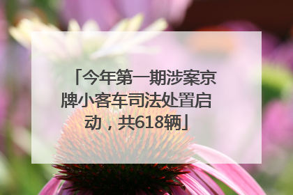今年第一期涉案京牌小客车司法处置启动，共618辆