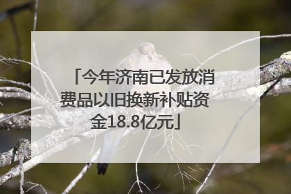 今年济南已发放消费品以旧换新补贴资金18.8亿元