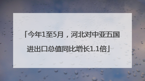 今年1至5月，河北对中亚五国进出口总值同比增长1.1倍
