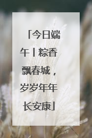 今日端午丨粽香飘春城，岁岁年年长安康