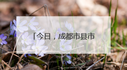 今日，成都市县市新城高质量发展大会召开！县域经济何以站“C位”