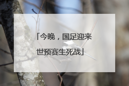今晚，国足迎来世预赛生死战