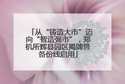 从“铸造大市”迈向“智造强市”，郑机所辉县园区揭牌暨备份线启用
