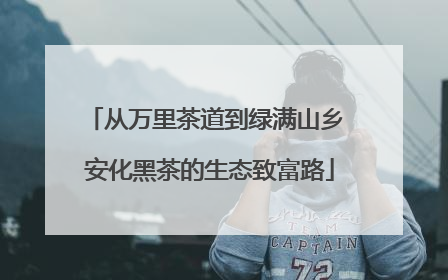 从万里茶道到绿满山乡 安化黑茶的生态致富路
