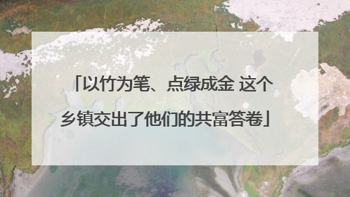 以竹为笔、点绿成金 这个乡镇交出了他们的共富答卷