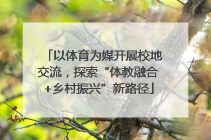 以体育为媒开展校地交流，探索“体教融合+乡村振兴”新路径