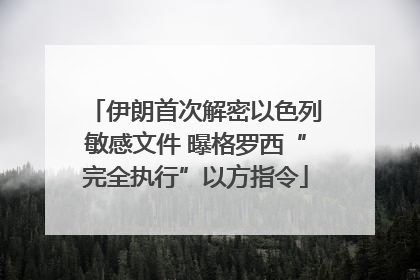 伊朗首次解密以色列敏感文件 曝格罗西“完全执行”以方指令