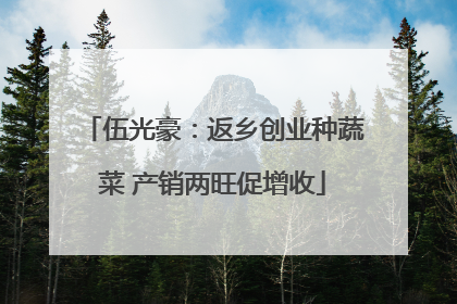伍光豪：返乡创业种蔬菜 产销两旺促增收