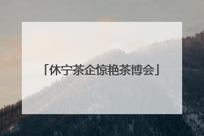 休宁茶企惊艳茶博会