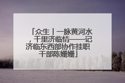 众生丨一脉黄河水，千里济临情——记济临东西部协作挂职干部陈姗姗