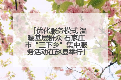 优化服务模式 温暖基层群众 石家庄市“三下乡”集中服务活动在赵县举行